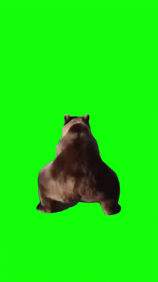 Twerking Bear green screen