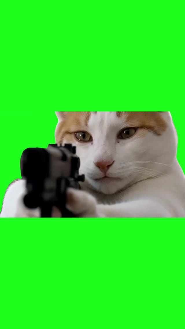 Upset Cat green screen