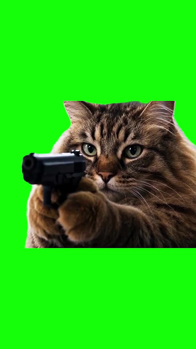 Whiskers Pointing green screen