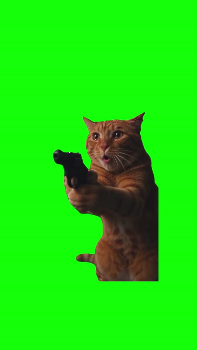 Why You Did This Bro green screen