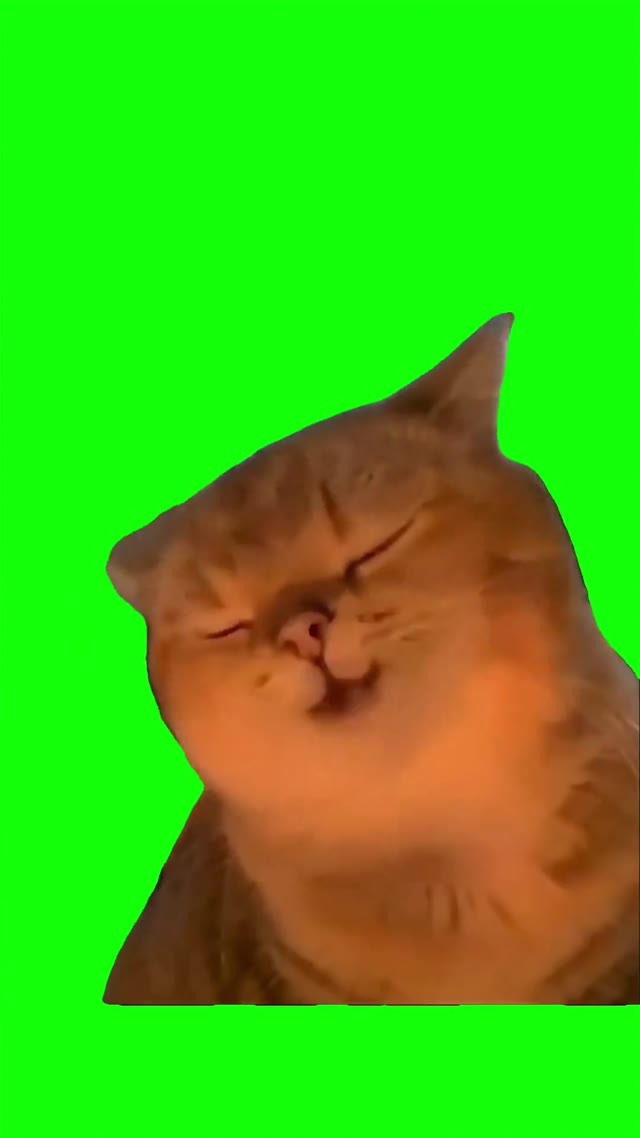 Yapapa Cat green screen