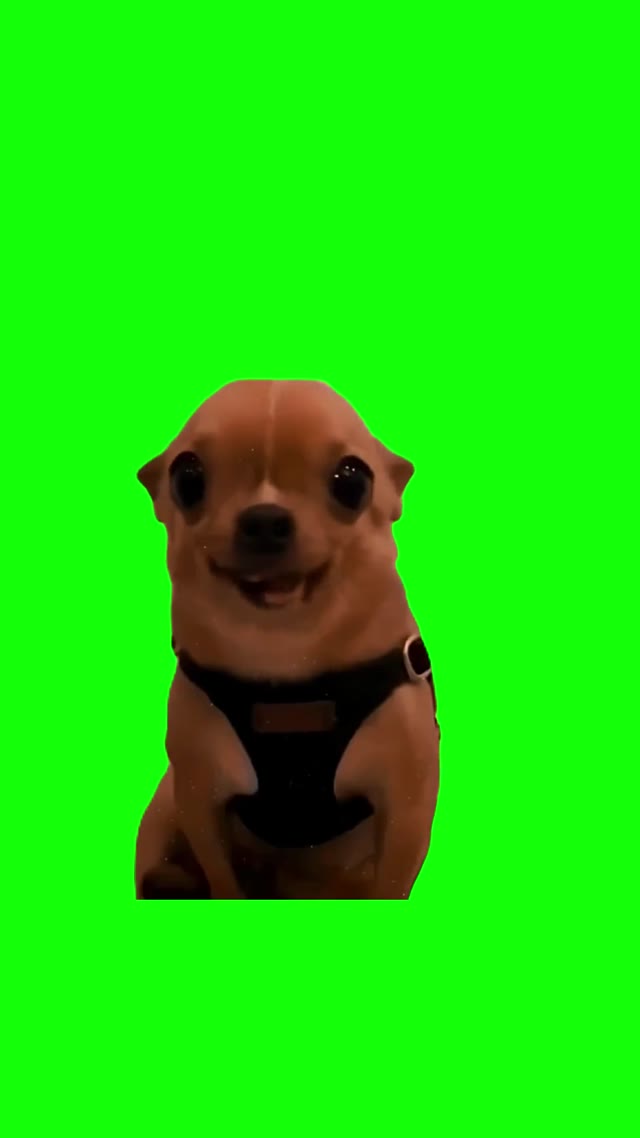 Your Are Nice Your Pretty green screen