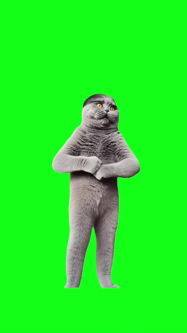 If You Grab A Bite You Cat green screen