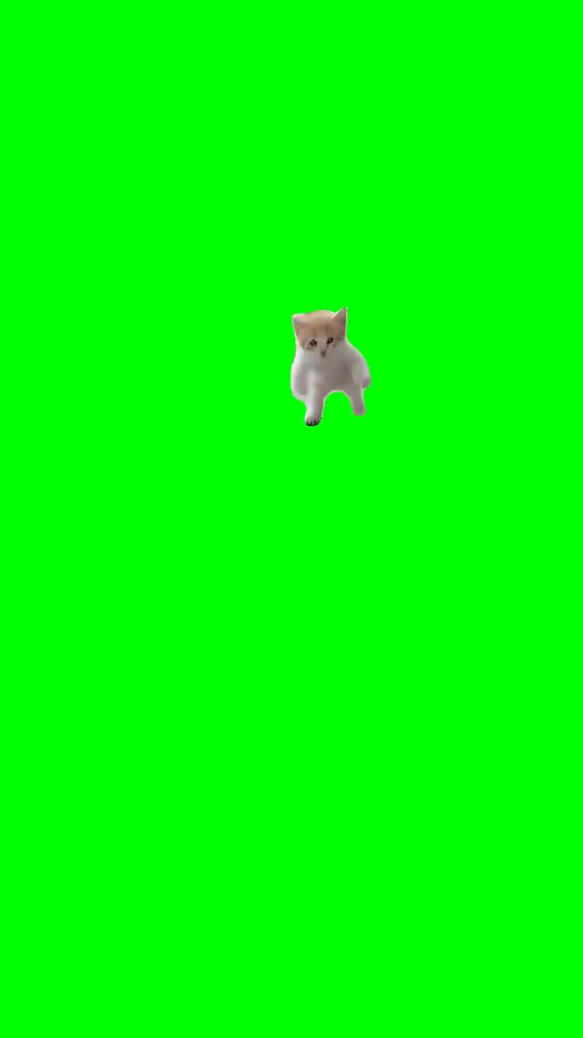 Mink Mink Mink green screen