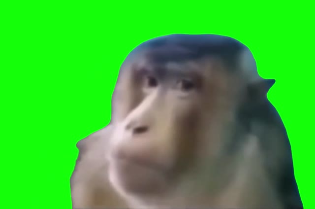 monkey side eye FNAF 2 ambience green screen