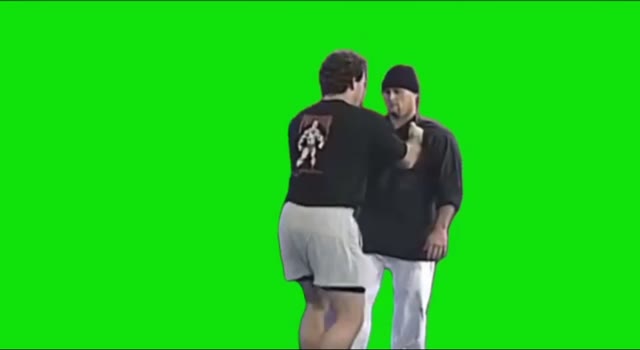 screen 20240527 0831332 green screen