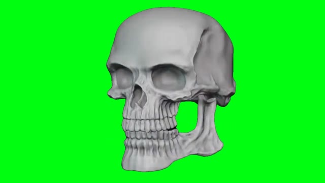 spinning skull with guitar riff at the end green screen