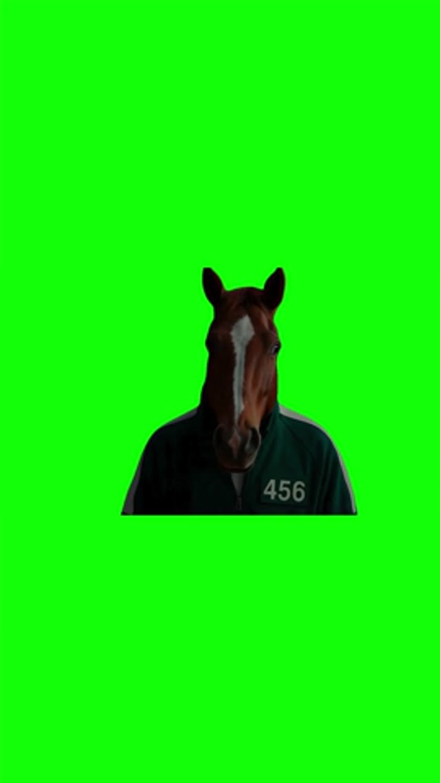 we are not horses  green screen